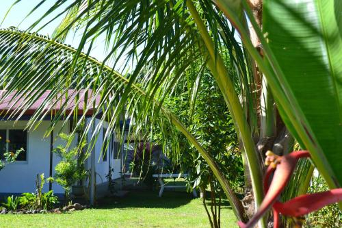 ทัศนียภาพ, faré apî (fare api) in มาทาเยีย