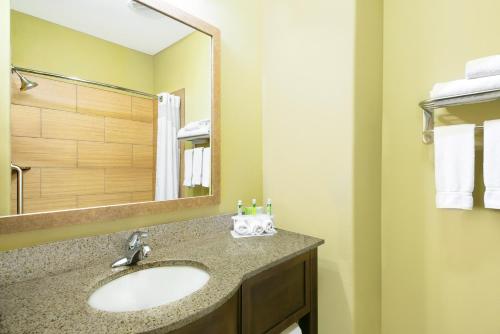 Holiday Inn Express Hotel and Suites Monahans I-20, an IHG Hotel