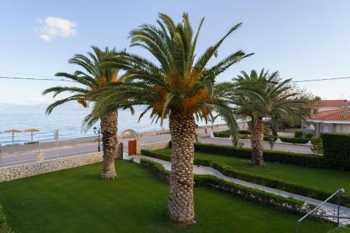 해변, 네펠리 스튜디오 (Nefeli Studios) in 파랄리아 톨로포노스