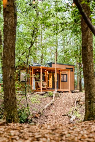  TinyParks Forest Cabins, Ferienwohnung in Hoogersmilde