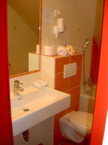 Hotel Aloisia - image 7