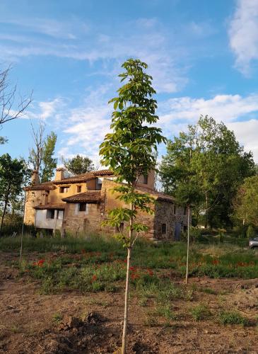 Molino del río - Accommodation - Torre la Cárcel