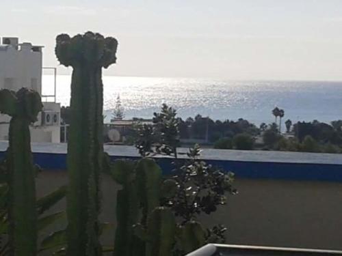 Le lagon de hammamet
