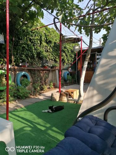 Casa OZZY&PATTY Casa OZZY&PATTY