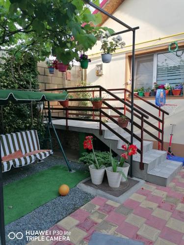 Casa OZZY&PATTY Casa OZZY&PATTY