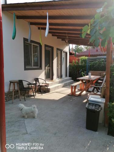 Casa OZZY&PATTY Casa OZZY&PATTY