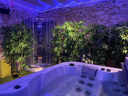 Spa, Le St Vincent in Roquefort