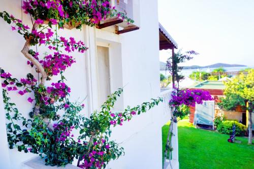 富豪酒店 富豪酒店