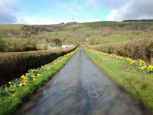 Apkārtne, Stunning cottage nestled under the Longmynd Hills. in Craven Arms