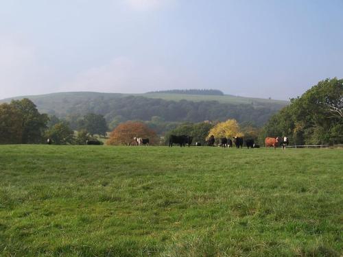 Apkārtne, Stunning cottage nestled under the Longmynd Hills. in Craven Arms