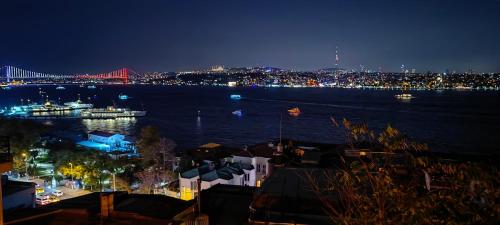 Bosphorus Menekshe Rezidances, Istanbul (photo 4)