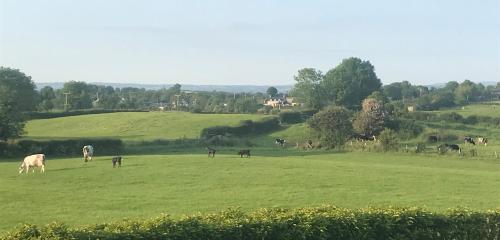 The Shed. in Bellaghy