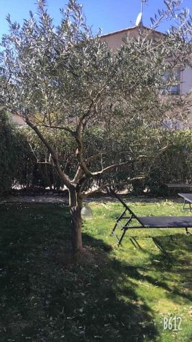 Bastide au pieds des alpilles St remy de Provence piscine partagée dans résidence