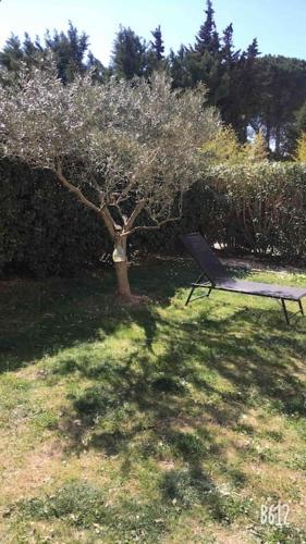 Bastide au pieds des alpilles St remy de Provence piscine partagée dans résidence