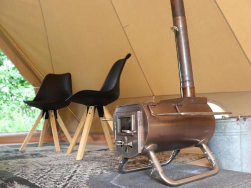  Glamour Tent in Frisian Woods near Cycling Route in Twizel