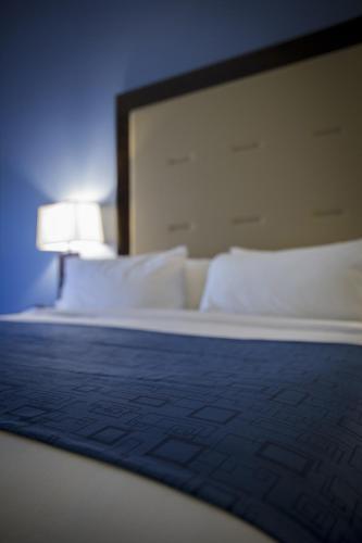 Holiday Inn Express and Suites Edwardsville, an IHG Hotel