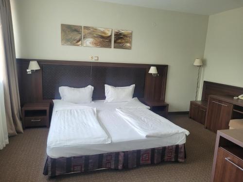 Sana Spa Hotel - image 10