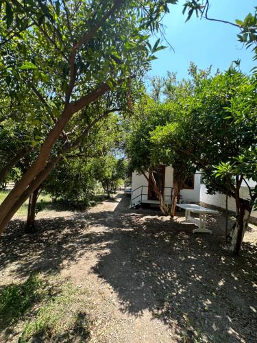 Сад, Incekum Pansiyon in Çökertme