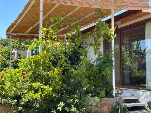 Сад, Incekum Pansiyon in Çökertme