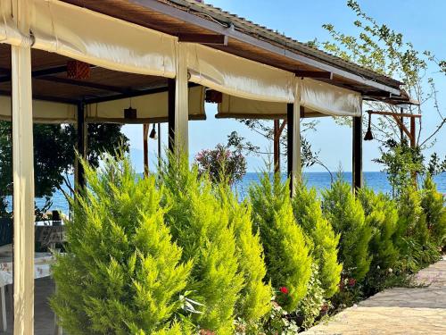 Сад, Incekum Pansiyon in Çökertme