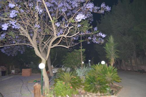 B&B Garden Grazia - image 2