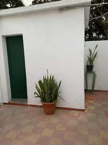 The Tiles House 2