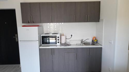 Apartman Stamenković (Apartman Stamenkovic) in Велико Градище