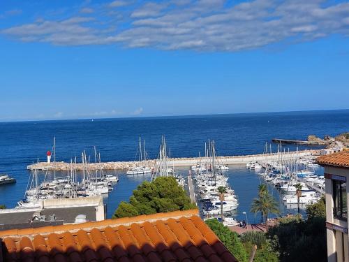 Location à banyuls vue panoramique