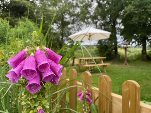 Brynarth Country Cottages