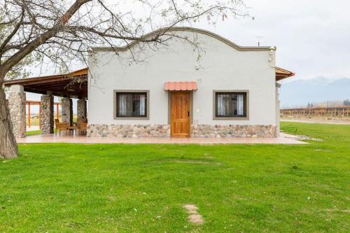 Calivista Vineyard - La Arboleda