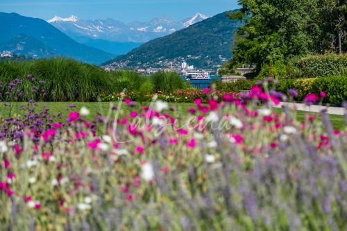 Labiena Lake Maggiore