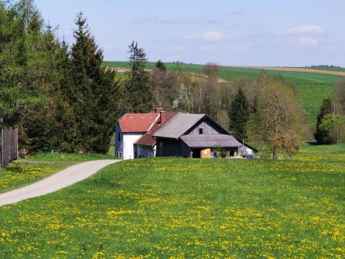 Фасада на хотела, Landhaus auf der Alm in Langschlag