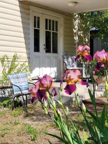 Viva Apartment in Nomme