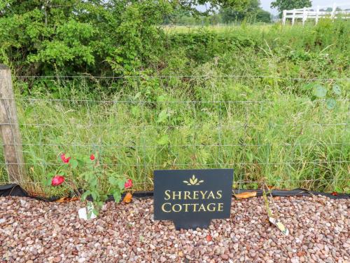 Sunnyside Shreyas - image 12
