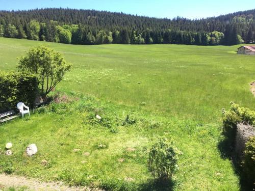 Natur Pur im Hochschwarzwald