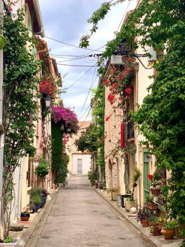 Maison Historique rue Vermeille Argeles sur mer