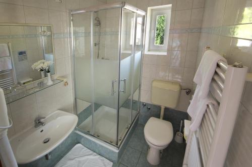 Hotel Pansion Stanger - image 4