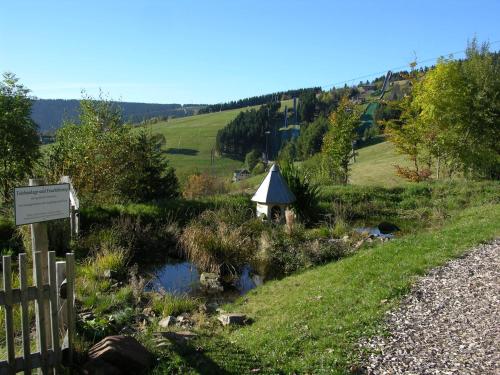 Panorama Hotel Oberwiesenthal - image 6