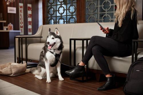 Fairfield Inn & Suites by Marriott Washington Downtown - image 11