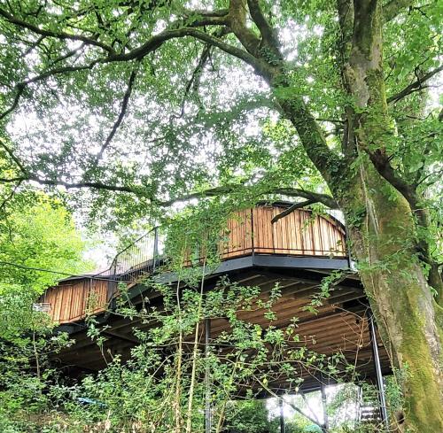 Treehouse in Devon