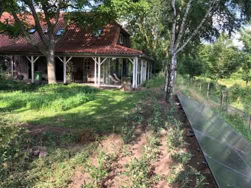 Garden, de Zeilende kraay in Arnhem