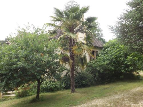 Location de vacance au coeur du Périgord Noir