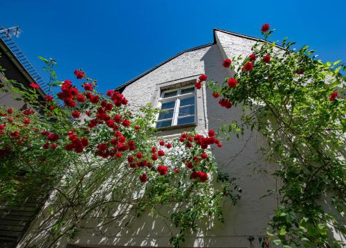 Gästehaus Vanille & Chocolat in Stolberg, Deutschland