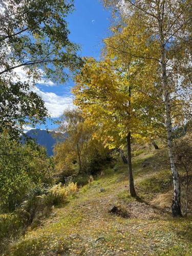 CASA DEL CIOS calda e intima casetta immersa nel verde delle montagne in Montescheno
