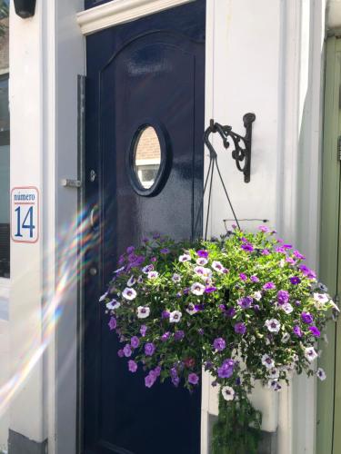 B&B Numero 14, Amsterdam (zdjęcie 9)