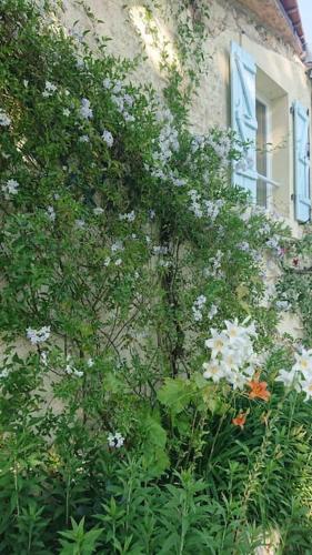 Cosy apartment with swimming pool near Aubeterre