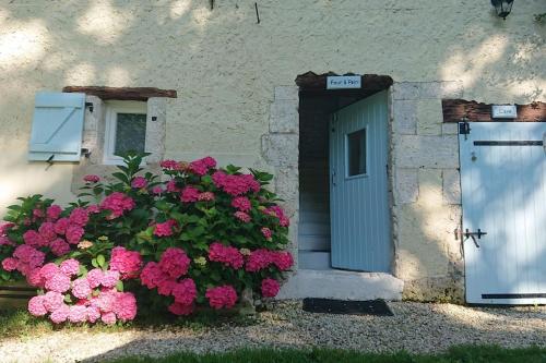 Cosy apartment with a view and swimming pool near Aubeterre