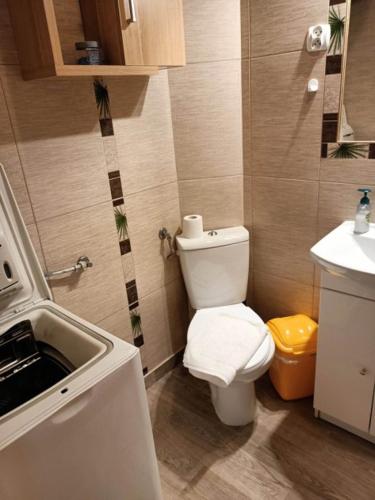 Willa Konradówka - apartamenty Dębowy, Klonowy, Kosówka, Limba, Brzozowy i Jemioła, Zakopane (fotografie 9)