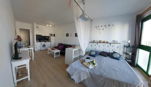 Estudios Center 5