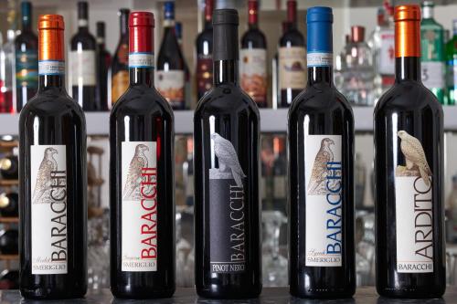 Hotel Degli Artisti - image 3